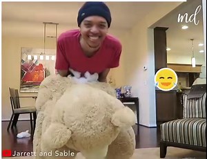 369K views · 395 reactions | These teddy bear pranks just keep getting better | MetDaan Creative | Facebook