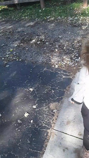 She looks like Einstein. With that freaking hair | Sheila Lutz