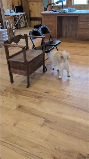 hide a day 3/18/2026