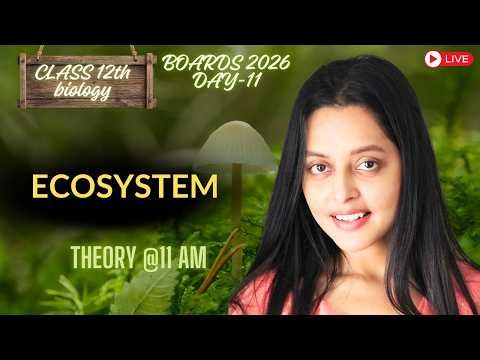 Ecosystem One Shot Revision 🔥 Class 12 Biology Board 2026 | Easy NCERT Explained
