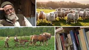 Premiere Pro 2025 Essential Training Online Class | LinkedIn Learning, formerly Lynda.com