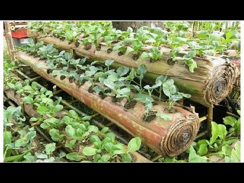 Amazing Farming ideas for Your Home & Garden