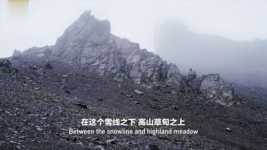 纪录片《三江之源》，第1集：流石滩