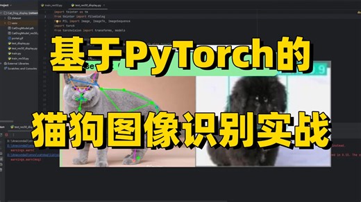 毕设有救了！研一研二必看！1小时带你基于TensorFlow CNN实现猫狗识别，原理详解 项目实战，看完就能跑通！毕设/CV/深度学习