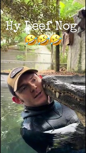 Hy leef!!! #fyp #fypシ #foryou #afrikaanscomedy #foryoupage #afrikaanstiktoks