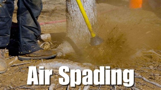Air Spade Tree Care: The Secret to Fixing Girdling Roots Saving Urban Trees | Gathering Place