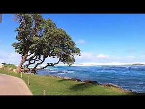 Go Walking! Turtle Bay Resort on Oahu, Hawaii