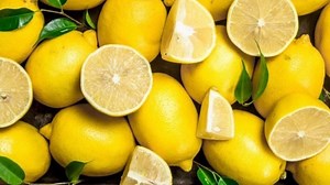 Ejercicios: Alimentos para comer en invierno y mantener buen rendimiento físico