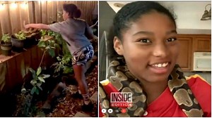 Snake whisperer: Teenager captures huge stray python in neighbour's compound