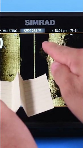 FISHFINDER | What is at the bottom on a SideScan?