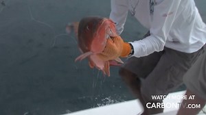 Have you ever seen a fish with teeth? O'Neill Williams & his friend Todd go deep sea fishing in Costa Rica & end up catching two monster Snappers! #Fishing Watch more O'Neill Outside TV and Radio Show Official Fan Page for free, here: http://bit.ly/1IN0MIo | CarbonTV