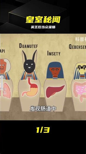 英國王后當眾灌腸，灌腸到底有什么魔力，能讓歐洲貴族趨之若鶩 #英国王后 #欧洲贵族 #灌肠历史 #皇室秘闻 #宫廷习俗