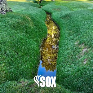 607 reactions · 20 shares | Want to boost your business? Become a certified provider of living shoreline erosion control systems with SOX Erosion Solutions! Get in-field installation training for your team and sales/marketing support to land new projects. Join our national network today and unlock new revenue streams! | SOX Erosion Solutions | Facebook