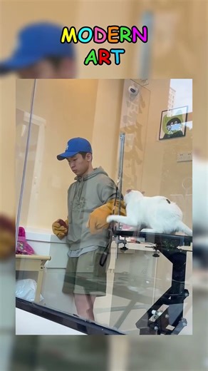 Case File #13 | "Don't touch me!" — Cat Edition 😾 #caughtin4k #evidence #memes #shrekwatchs #lol