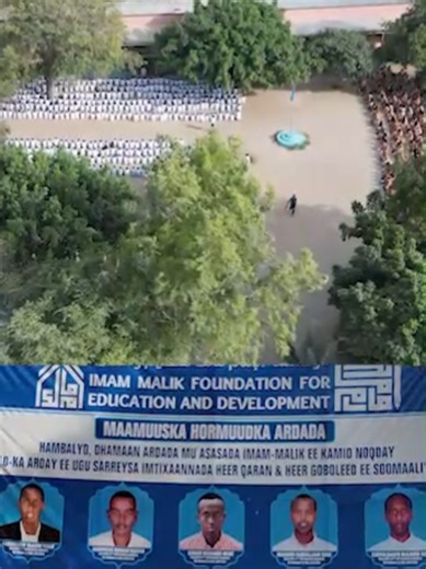 Mocalim Platform waa dhiirri geliyaha aqoonta iyo hal-abuurka Ardayda Soomaaliyeed. imaam#kulankamacalinkam #education #RoobDoon #ablaal #s