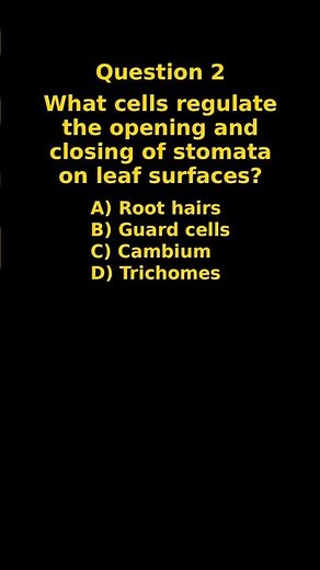 Plant Anatomy: Plant Tissues, Xylem & Phloem, Roots, Stems, Leaves | Structure & Function Explained