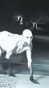 Real Shapeshifter Caught on Camera Unexplained Footage That Terrified Witnesses 😱 YT