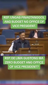 REP. UNGAB PINAGTANGGOL ANG BUDGET NG OFFICE OF VICE PRESIDENT. | Urassayas Infinity PH