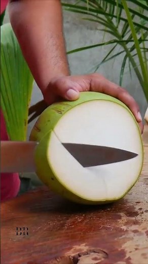 HOW COCONUT HAVE WATER INSIDE? #benrickremedies #coconut #shortsfeed