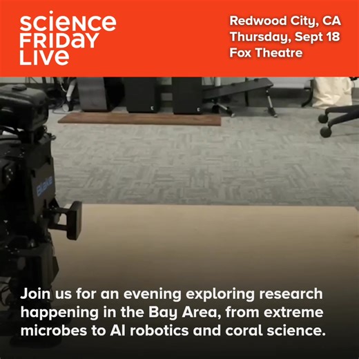 🚨Calling all SciFri Fans in the Bay Area🚨 🎉 SciFri is going LIVE in Redwood City, California! Join us and @KQED for a special 2-hour live show. And yes, ToddlerBot will be there. 🤖 🎟️ Grab your tickets now and use code SCIFRI50 for 50% off! 🔗 https://buff.ly/HxfLJjc | Science Friday