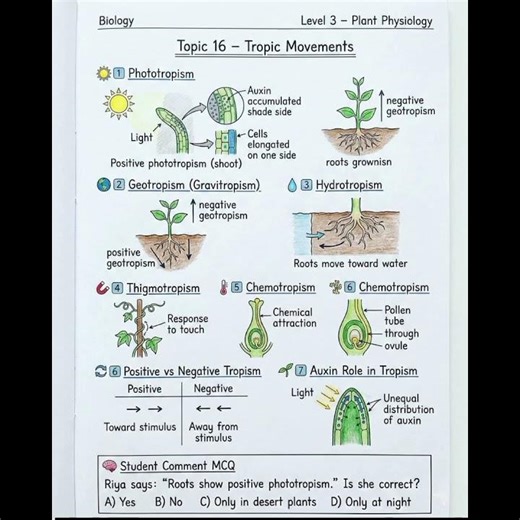Tropic movements| phototropisms |geotropism| hydrotropism #biology #thigmotropism #plants
