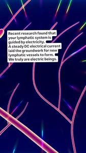 ELECTRIC LYMPHATIC SYSTEM Recent research found that application of a steady DC current laid the groundwork for new lymphatic vessels to form. Researchers saw a DC current directed lymphatic endothelial cell migration, caused cells to align, elongate, and orient while promoting network-like, vessel-precursor architectures and activated key lymphangiogenic signaling pathways. A DC current is the flow of electricity from positive charge to negative charge. It is something that researchers have sho
