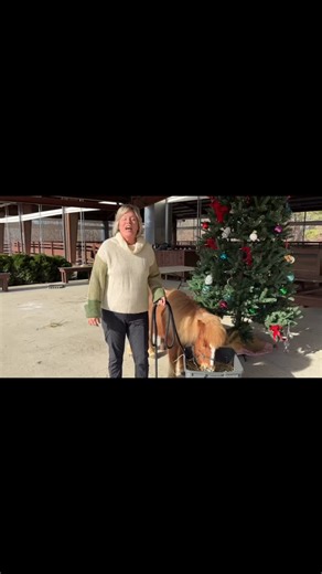 As the mental-health crisis among kids in North Carolina continues to grow, the need for true hope and real healing has never been greater. That’s why today matters so much. Thanks to a generous group of supporters, every gift given TODAY will be TRIPLED through our Christmas Gift Match Fund — meaning your generosity goes 3x as far to help kids in crisis experience God’s love through a rescued horse and a caring mentor. We call it Triple Tuesday. ⏰ Our goal today: $54,000 🎁 Tripled: enough to f