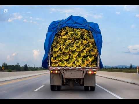 Inside Modern Banana Processing Factory | Step-by-Step Production