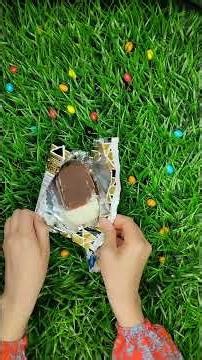 Chocolate vs Cream Ice Cream: Which One Wins? 🍫🍦