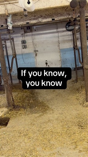 If you know, you know #heifer #dairyfarm | Day by Day Dairy