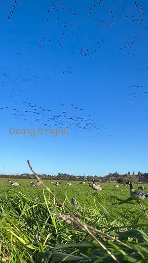Stackhouse Guide Service on Reels