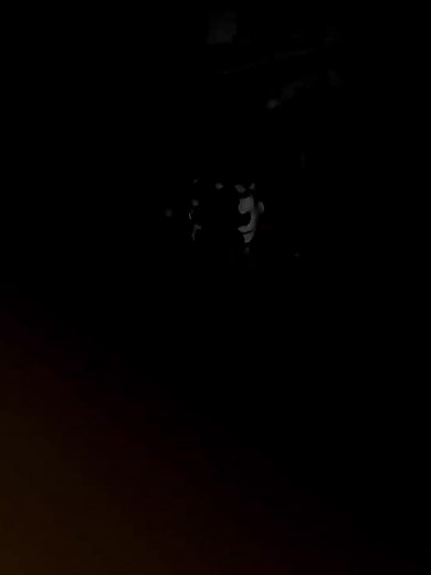 #ennard #ennardcosplay #ennardfnaf #ennardedit #animatronic #animatronics #sisterlocation #fnafsisterlocation #fnaf5sisterlocation #fnaf5 #fnafedit #fnafcosplay #fnafseguritybreach #fnaf #fivenightsatfreddy #fivenightsatfreddys #ennardedits