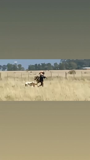 Daniel Abraham on Reels