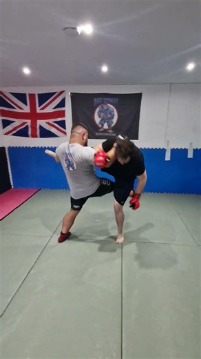 Counter to roundhouse kick, takedown and ankle lock Combat SAMBO, MMA, Mixed Martial Arts