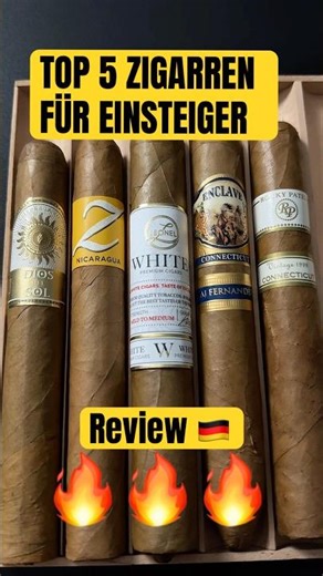 🔥 5 ZIGARREN FÜR EINSTEIGER Teil 2 🔥#shorts #viralvideo #cigars #review #asmr
