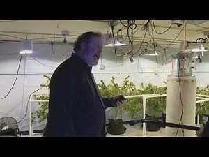Ex-lawyer's pot growing excuses go up in smoke