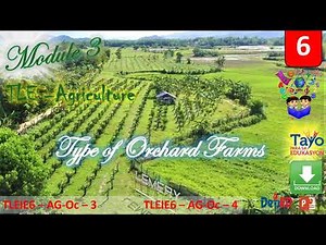 TLE6 Agriculture Module3 Types of Orchard Farms