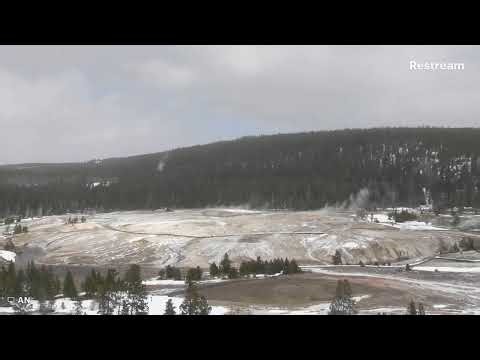 YELLOWSTONE 03.11.2026