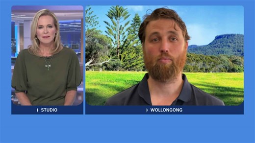 Pressure for government to fund rabbit control measures as populations grow