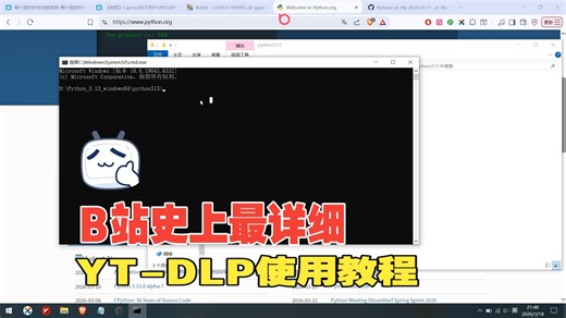 全网最详细教程：如何使用YT-DLP下载流媒体
