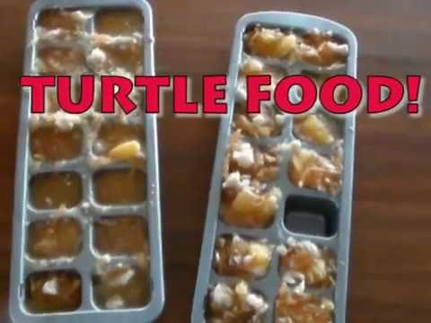 How to Make Easy DIY Turtle Food