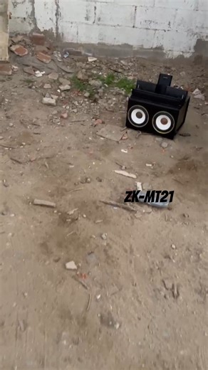 ZK-MT21 vs tpa3116d2 ⚡🔥 #bass #basscheck #bluetooth