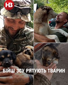 3.9M views · 271K reactions | Оленятко, лис та бобер. Як воїни ЗСУ рятують тварин і зберігають нашу віру в добро | NV | Facebook