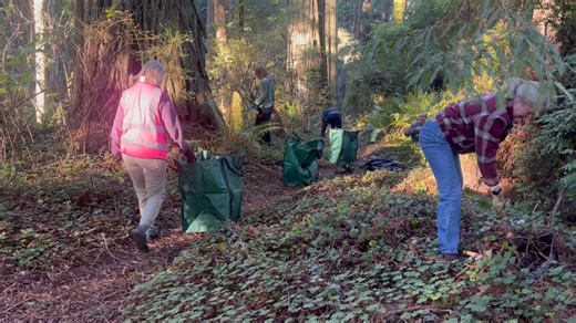 One dedicated group in Eureka is making headway on a project to help our parks | Redwood News
