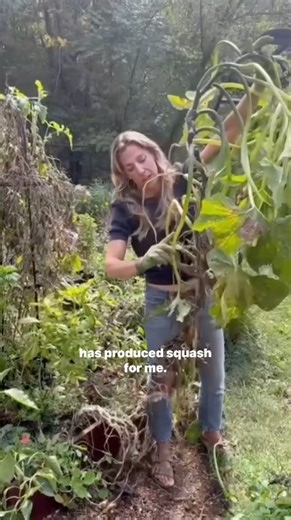 29K views · 94 reactions | The squash experiment worked! (A little...