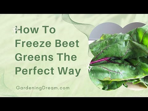 How To Freeze Beet Greens The Perfect Way