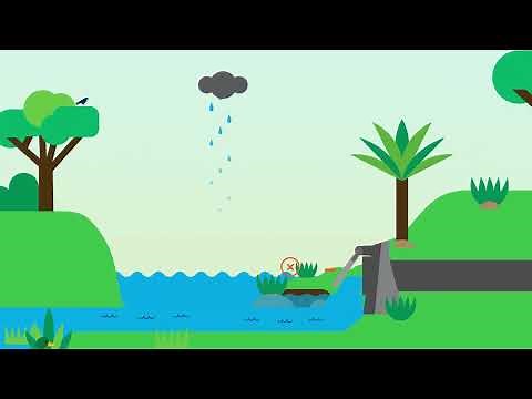Floodgates Explainer Video