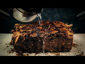 ASMR Compressed coco drinks water