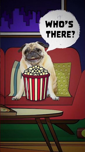 Two Funny Knock Knock Jokes That Brighten Your Day!