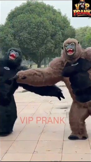 #Vipprank#Romantic Ring Tone 2026 #love Ring Tone #Latest Love Ring Tone #Hindi #Ring #Tone #Love#